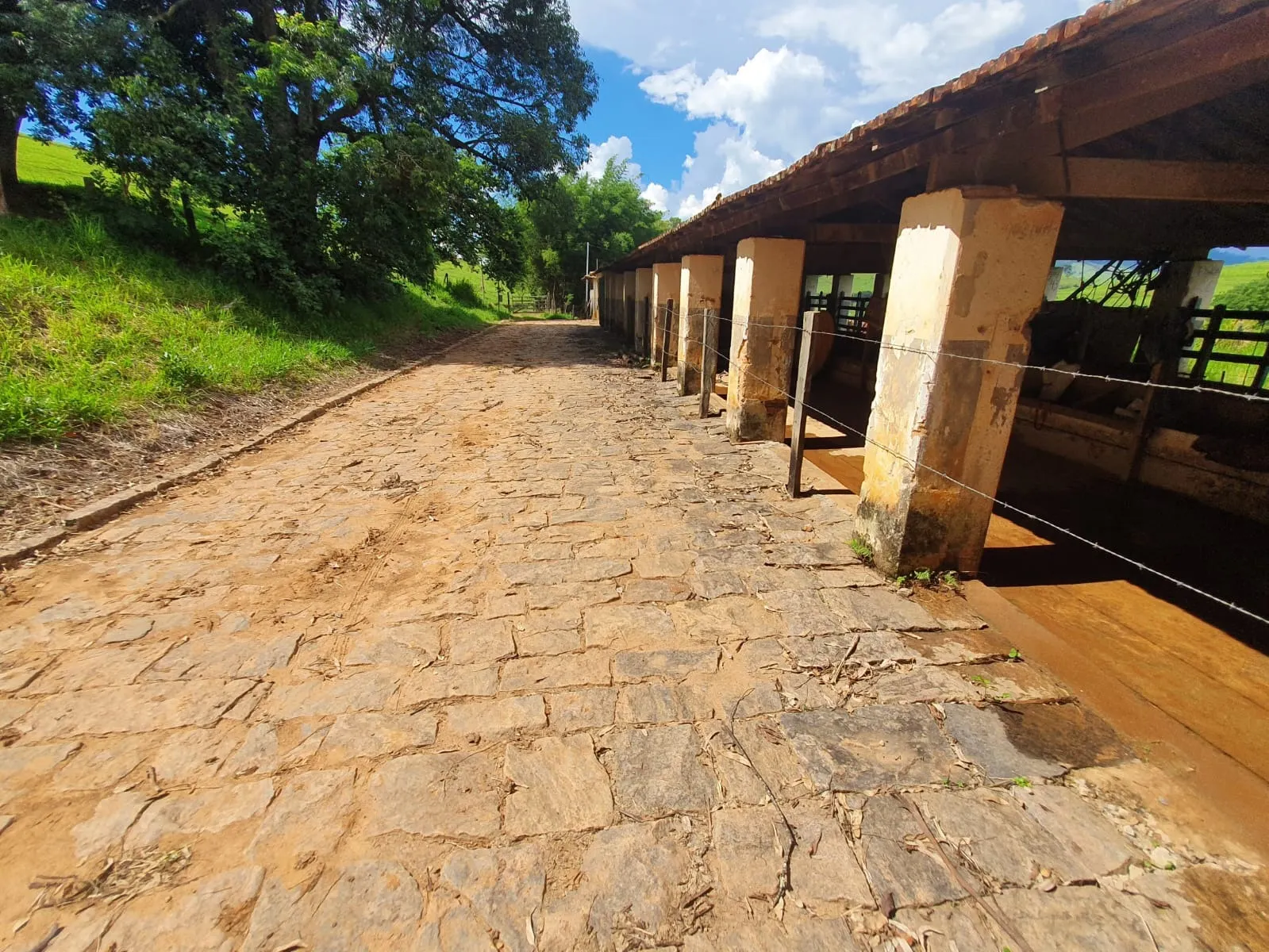 Fazenda à venda de 233 ha em Itajubá, MG, Brasil
