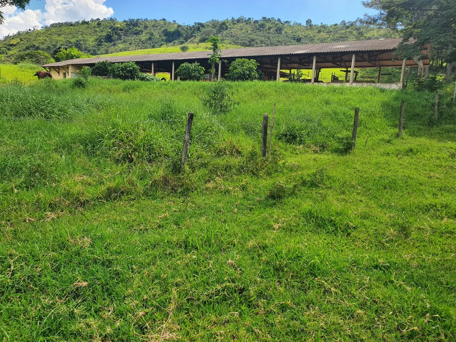 Fazenda à venda de 233 ha em Itajubá, MG, Brasil