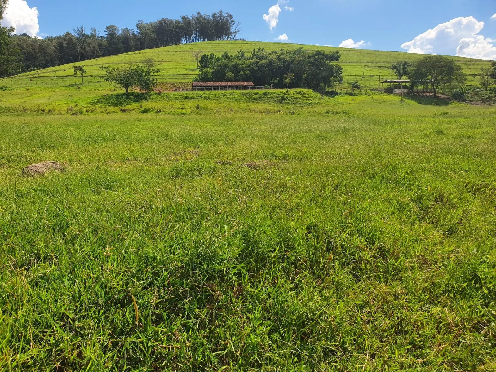 Fazenda à venda de 233 ha em Itajubá, MG, Brasil