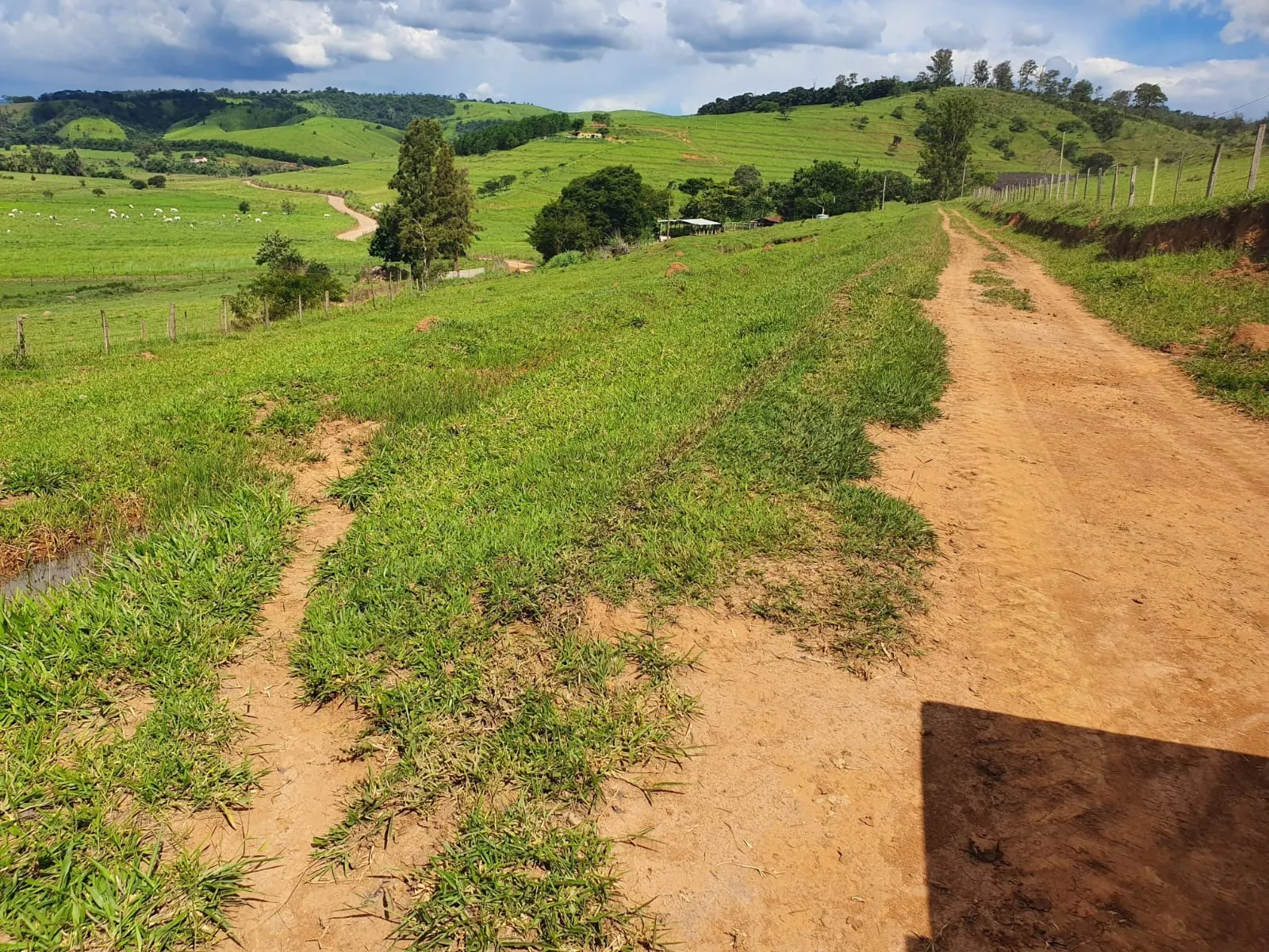 Fazenda à venda de 233 ha em Itajubá, MG, Brasil