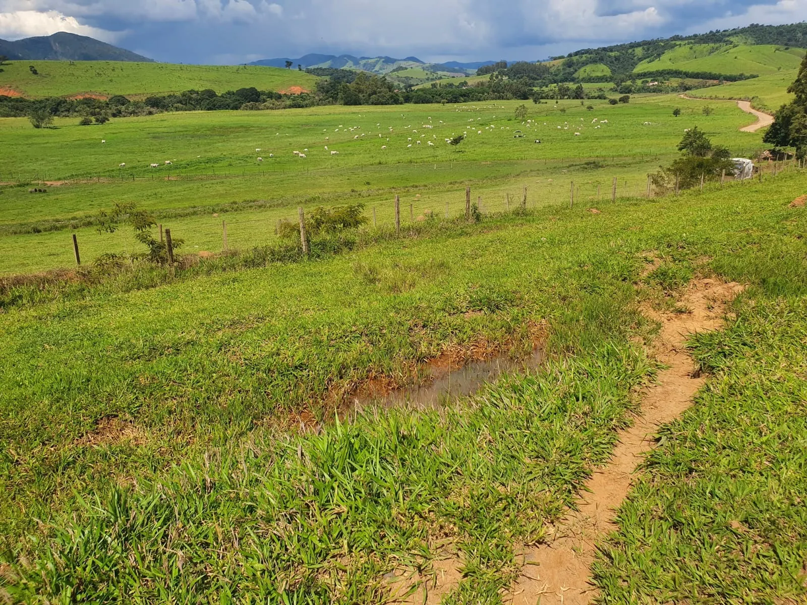 Fazenda à venda de 233 ha em Itajubá, MG, Brasil