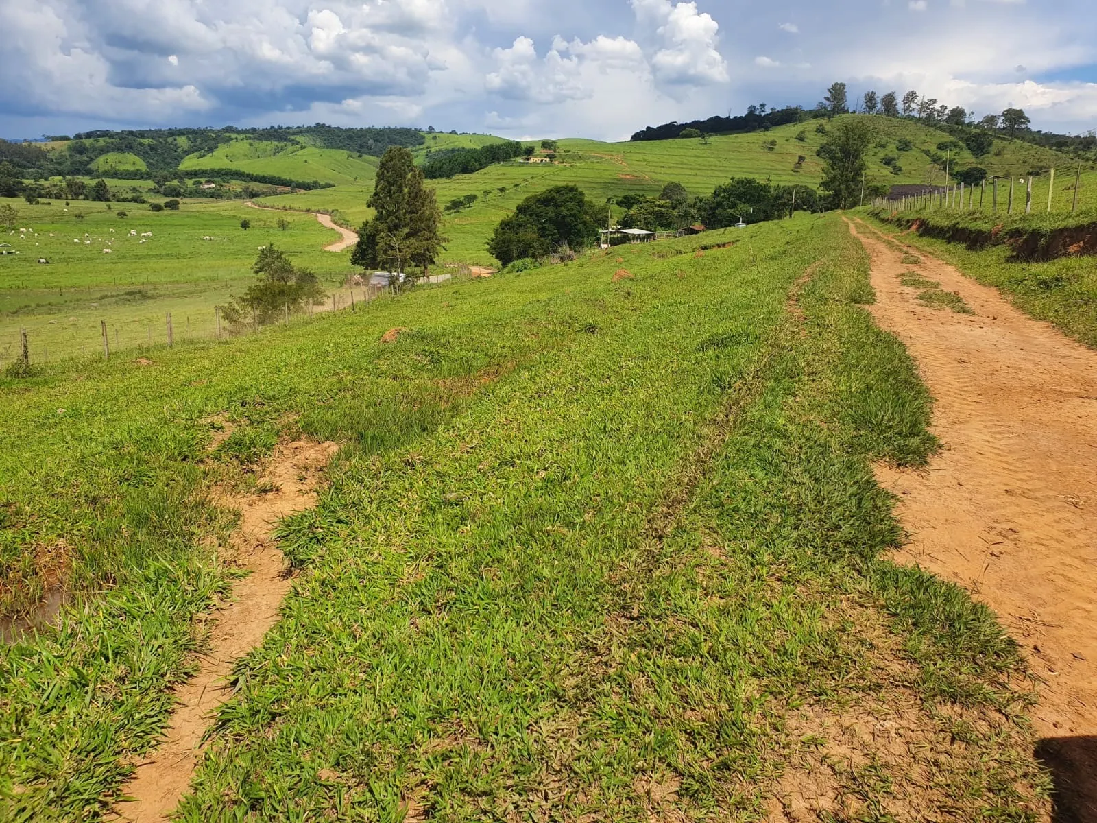 Fazenda à venda de 233 ha em Itajubá, MG, Brasil