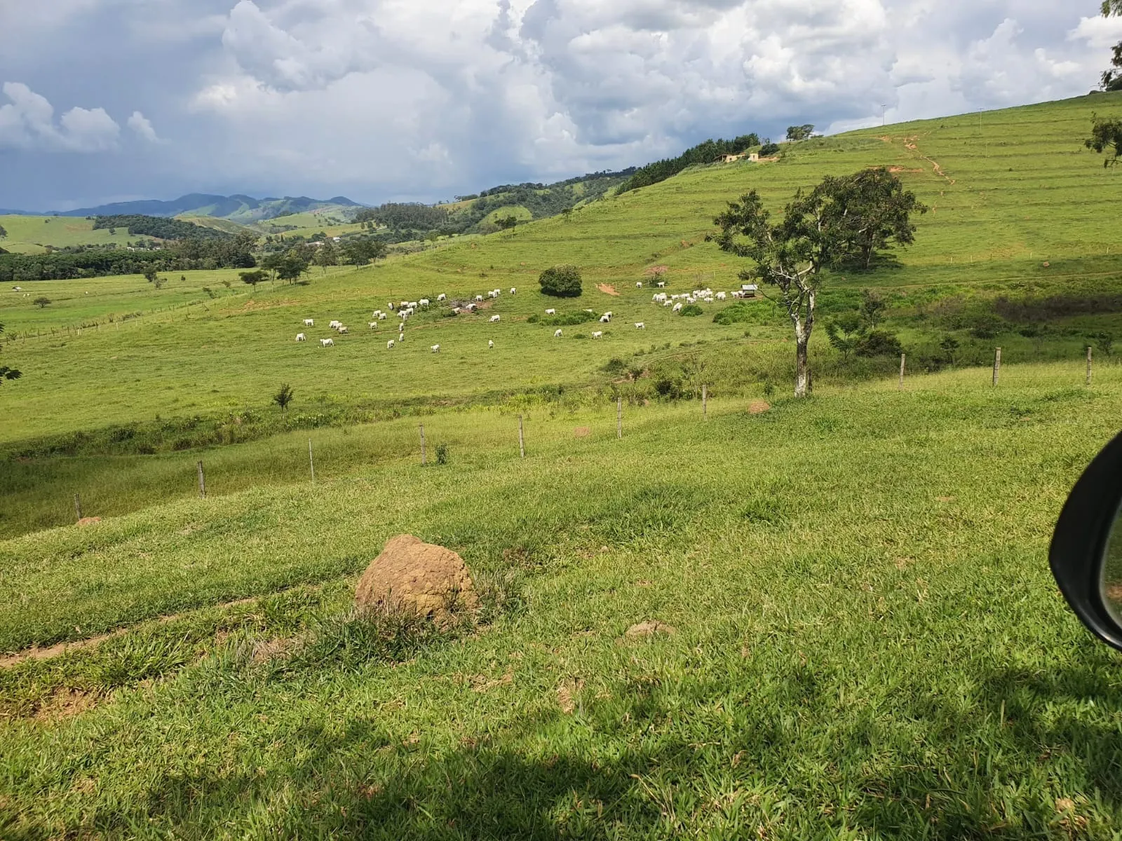 Fazenda à venda de 233 ha em Itajubá, MG, Brasil