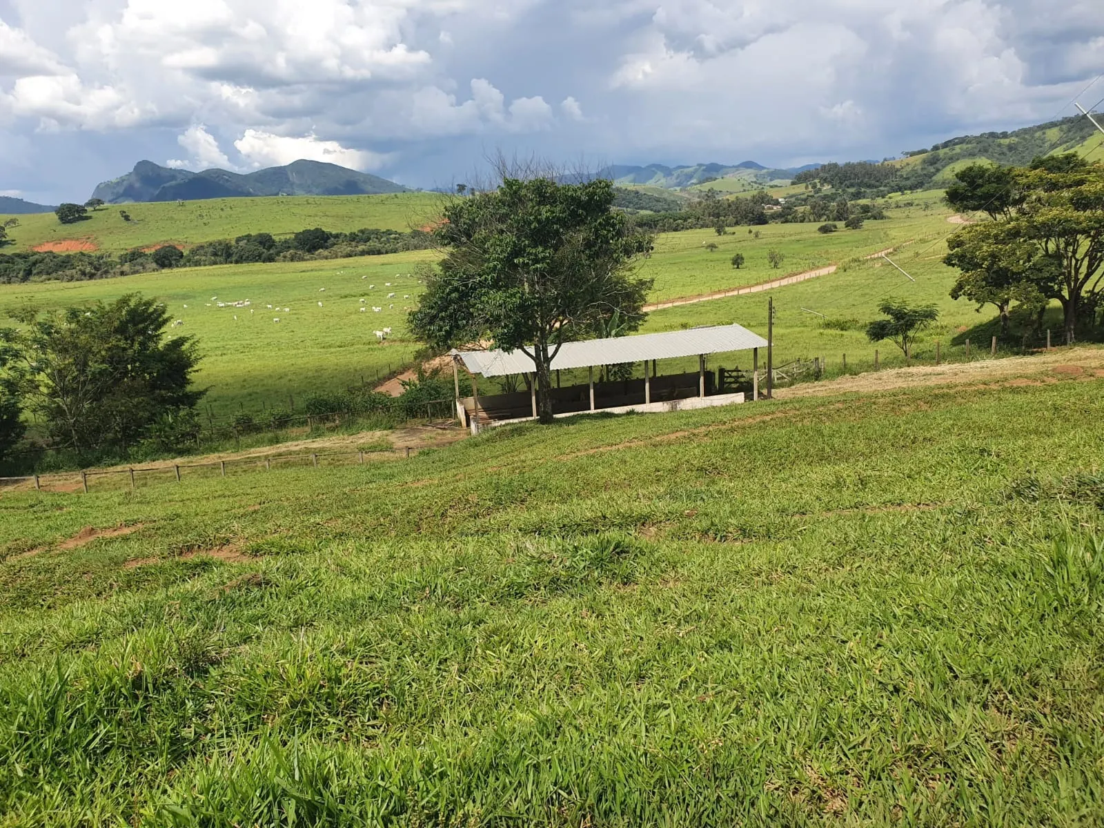 Fazenda à venda de 233 ha em Itajubá, MG, Brasil