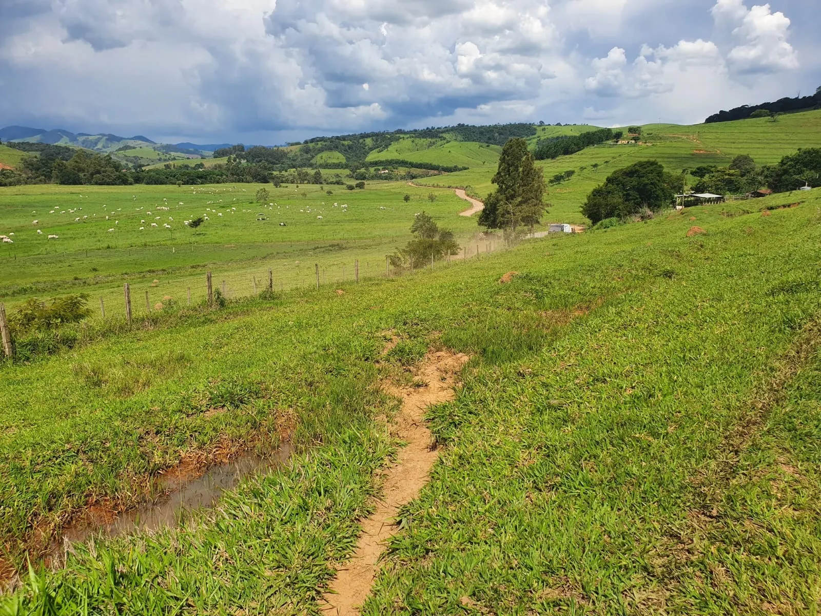 Fazenda à venda de 233 ha em Itajubá, MG, Brasil