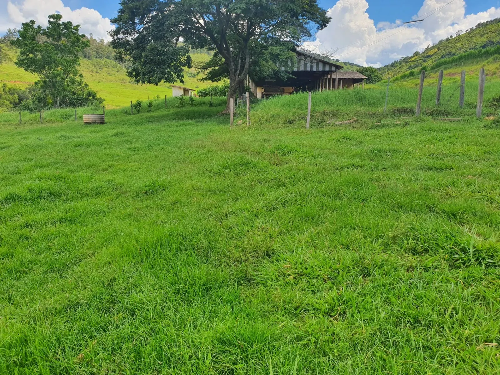 Fazenda à venda de 233 ha em Itajubá, MG, Brasil