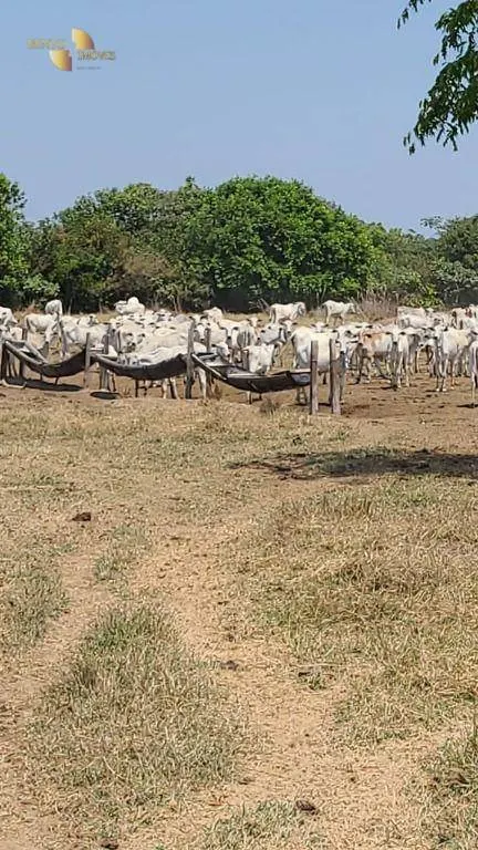 Fazenda à venda de 1.975 ha em Barão de Melgaço, MT, Brasil