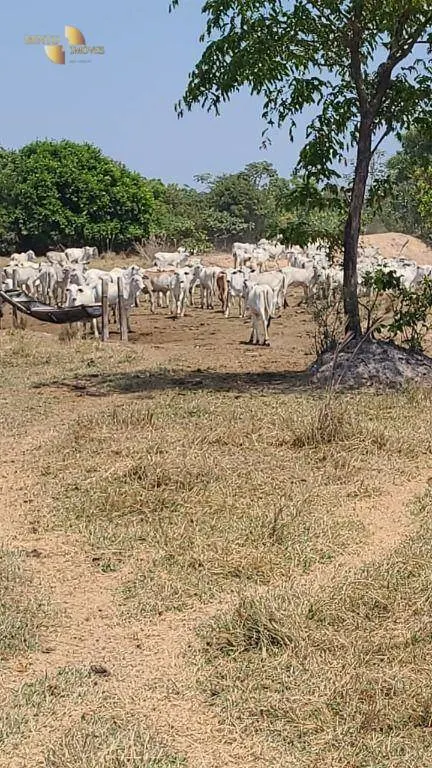 Fazenda à venda de 1.975 ha em Barão de Melgaço, MT, Brasil