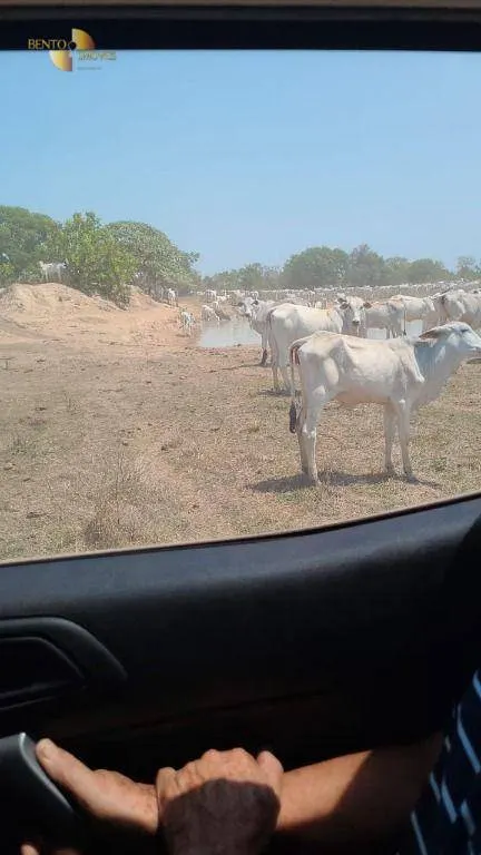 Fazenda à venda de 1.975 ha em Barão de Melgaço, MT, Brasil