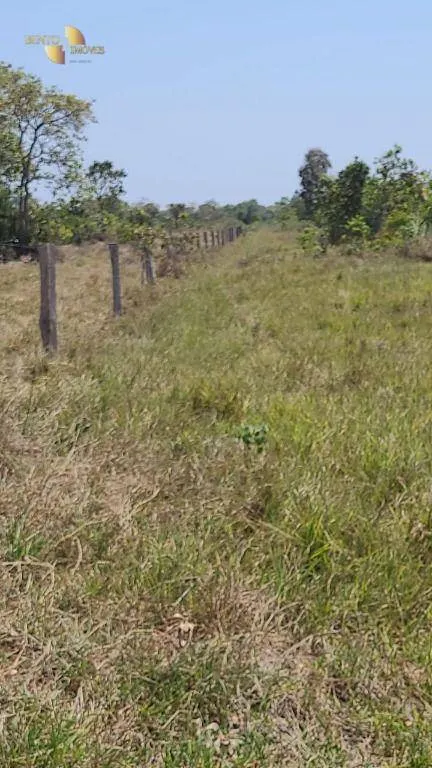 Fazenda à venda de 1.975 ha em Barão de Melgaço, MT, Brasil
