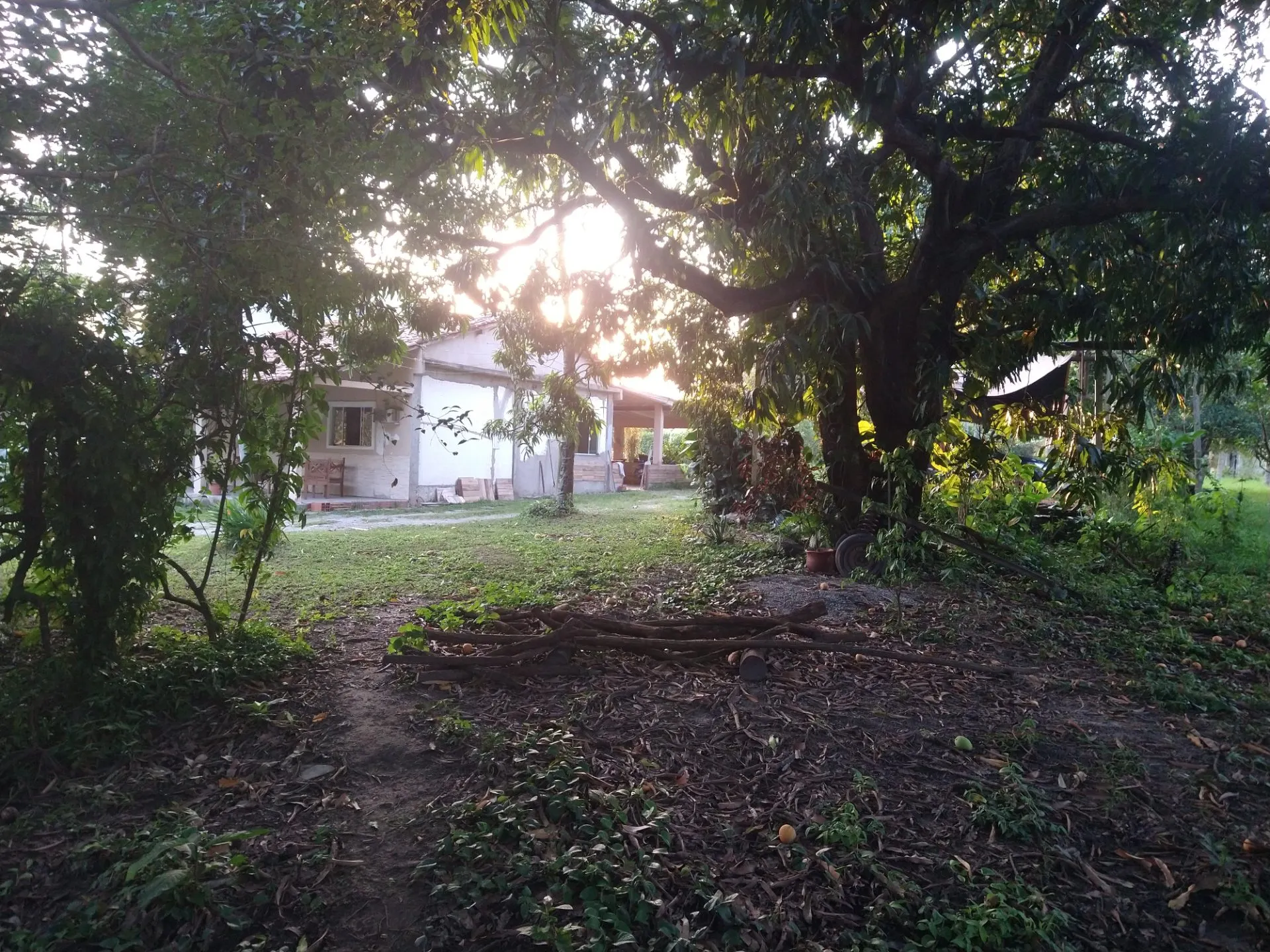 Sítio para Arrendar de 5 ha em Seropédica, RJ, Brasil