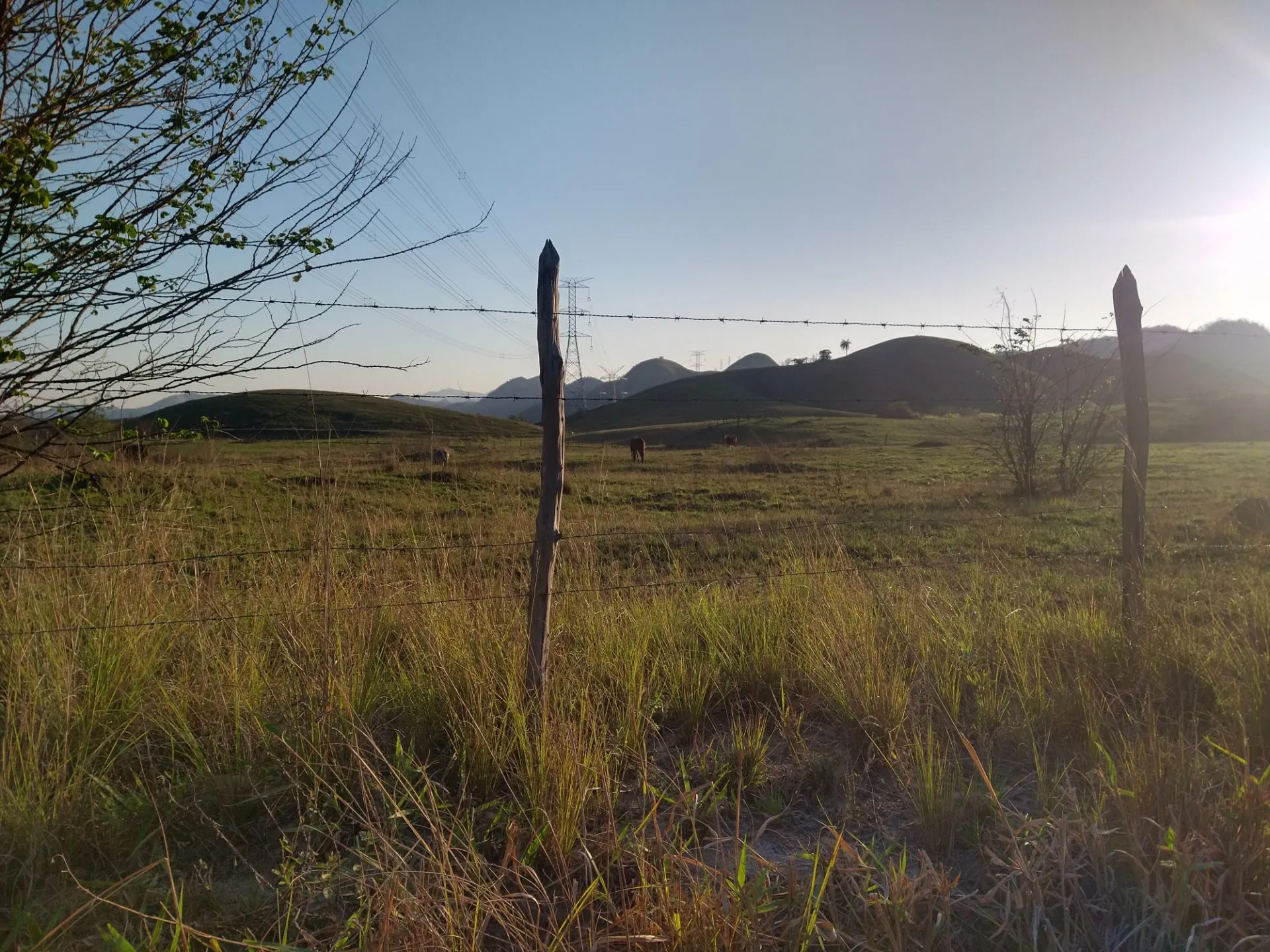 Sítio para Arrendar de 5 ha em Seropédica, RJ, Brasil