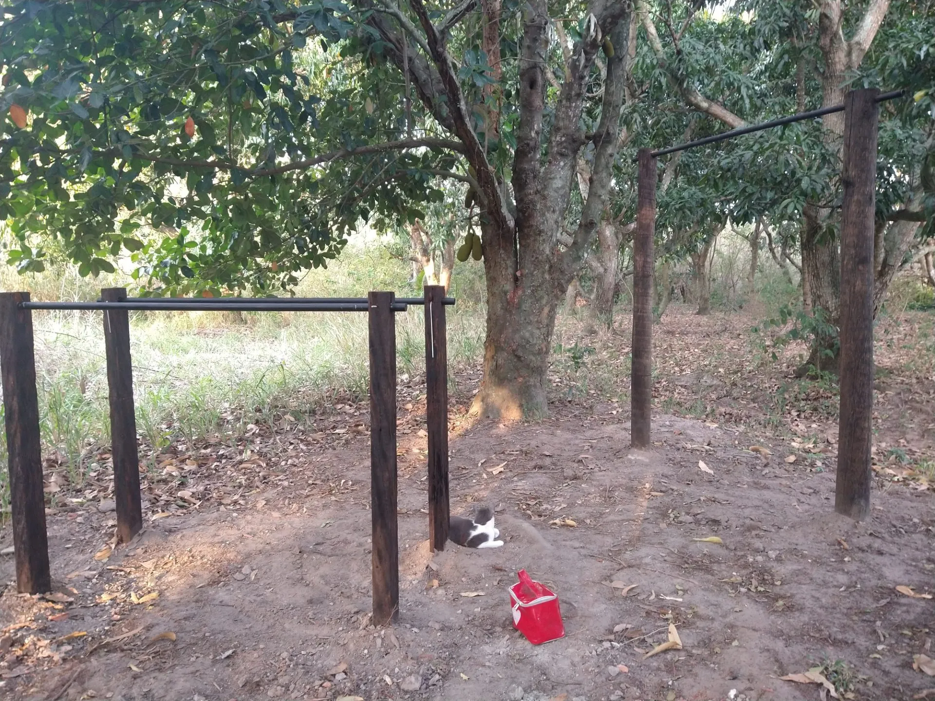 Sítio para Arrendar de 5 ha em Seropédica, RJ, Brasil