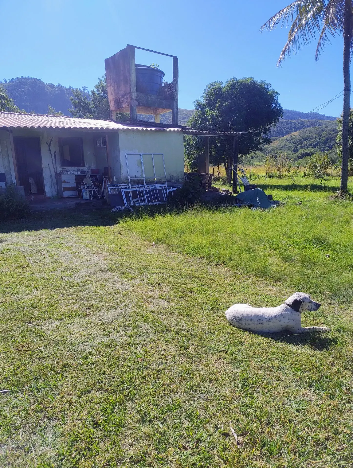 Sítio para Arrendar de 5 ha em Seropédica, RJ, Brasil