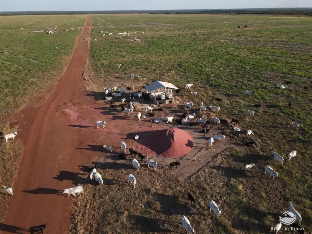 Fazenda à venda de 33.000 ha em Confresa, MT, Brasil