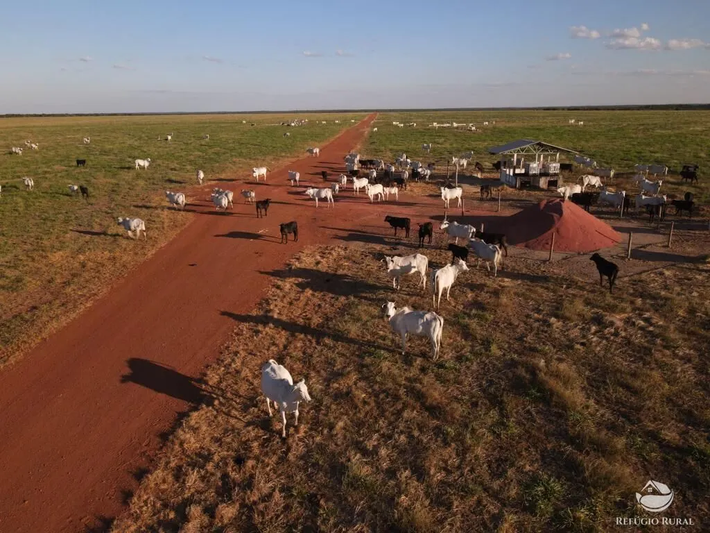 Fazenda à venda de 33.000 ha em Confresa, MT, Brasil