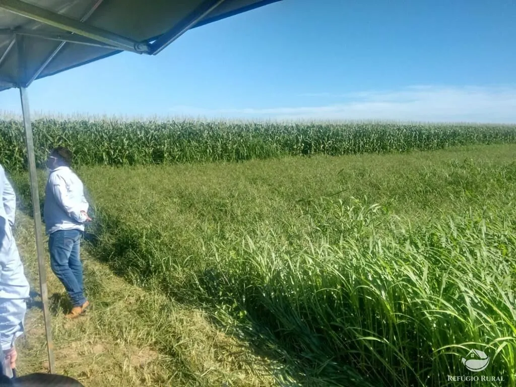 Fazenda à venda de 33.000 ha em Confresa, MT, Brasil