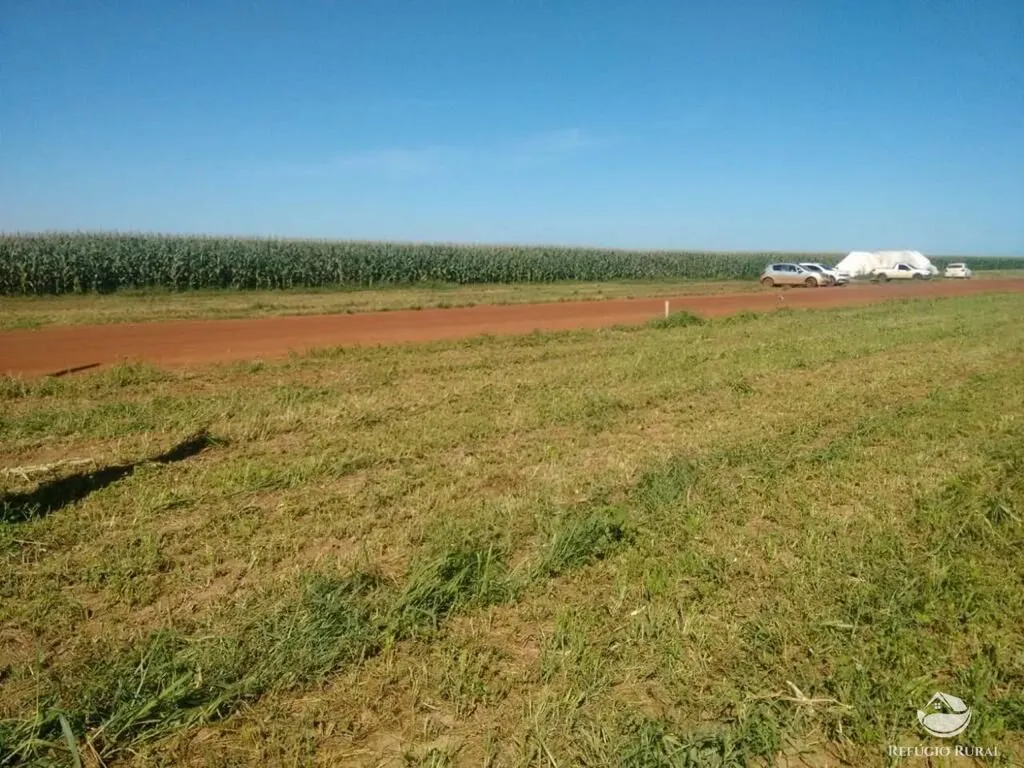 Fazenda à venda de 33.000 ha em Confresa, MT, Brasil