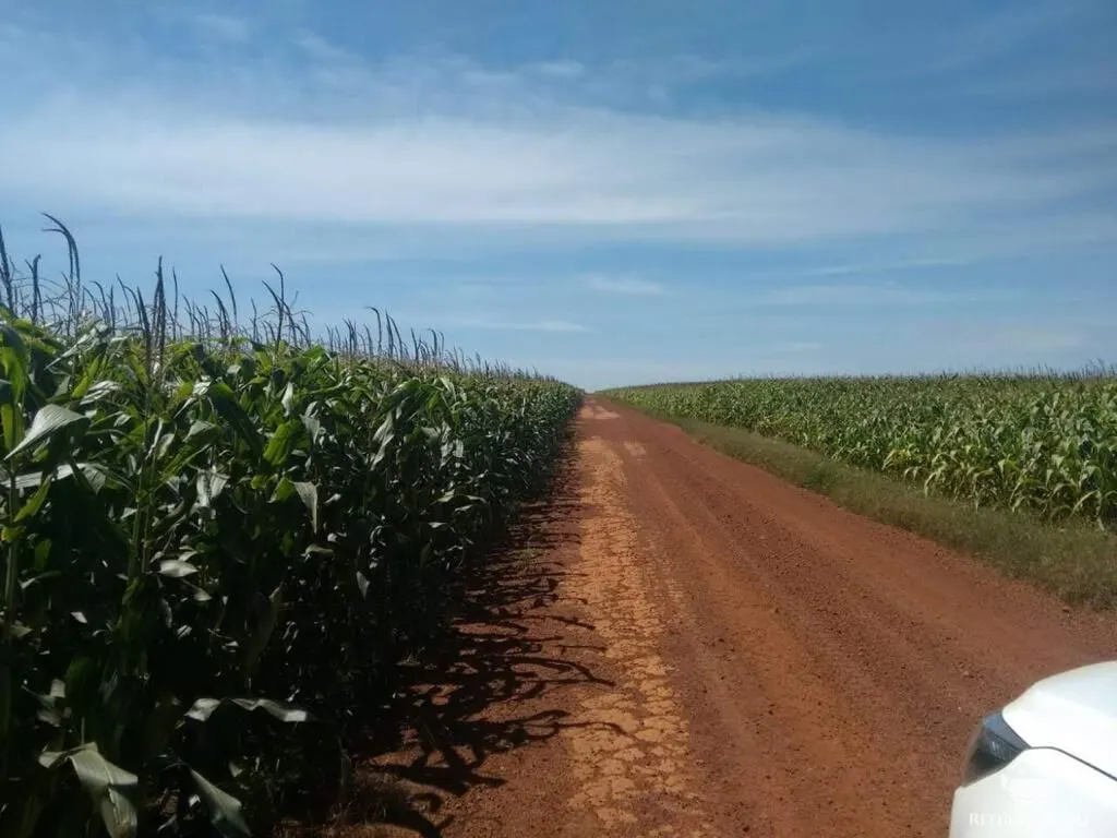 Fazenda à venda de 33.000 ha em Confresa, MT, Brasil