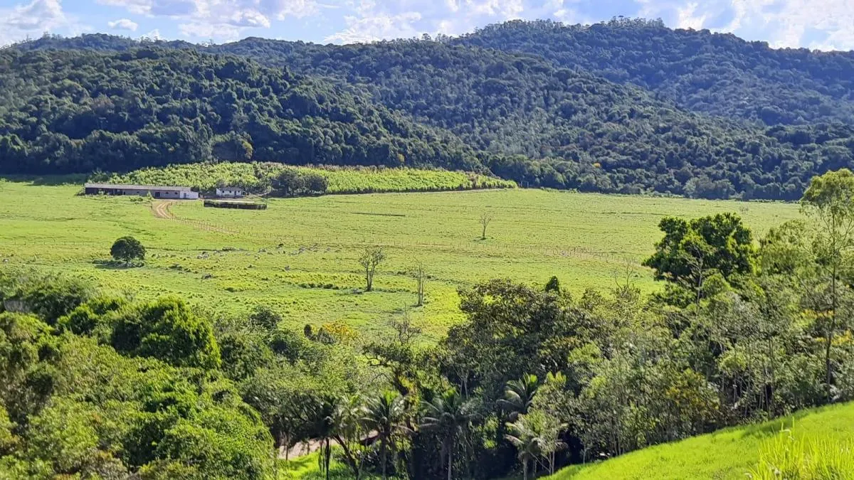 Fazenda à venda de 89 ha em Jacupiranga, SP, Brasil