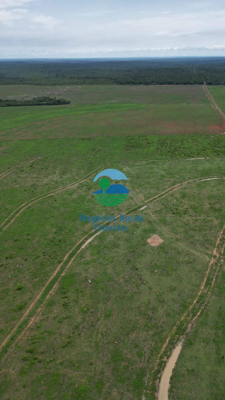 Fazenda à venda de 3.547 ha em Presidente Kennedy, TO, Brasil