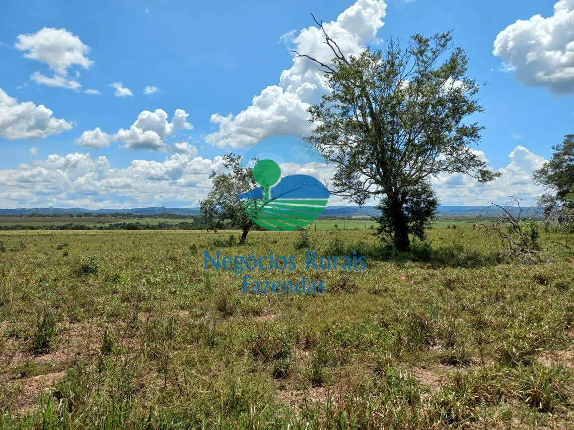Fazenda à venda de 3.547 ha em Presidente Kennedy, TO, Brasil