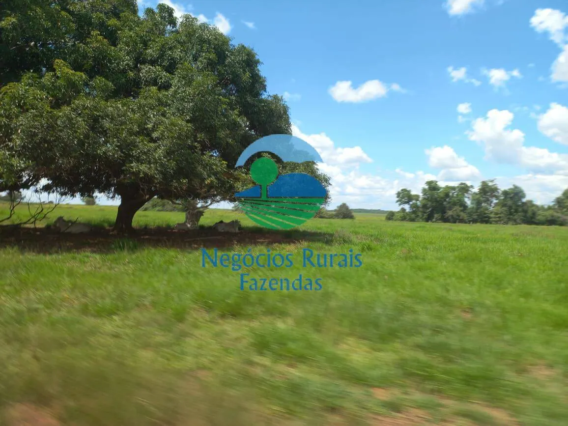 Fazenda à venda de 3.547 ha em Presidente Kennedy, TO, Brasil
