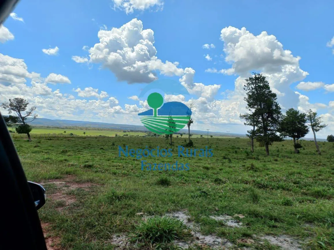 Fazenda à venda de 3.547 ha em Presidente Kennedy, TO, Brasil