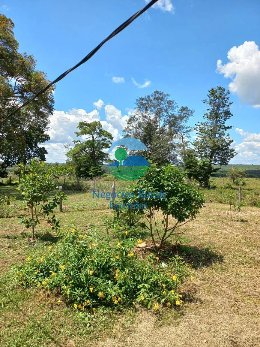Fazenda à venda de 3.547 ha em Presidente Kennedy, TO, Brasil