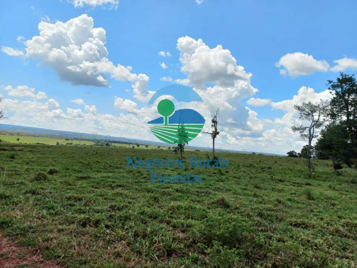 Fazenda à venda de 3.547 ha em Presidente Kennedy, TO, Brasil