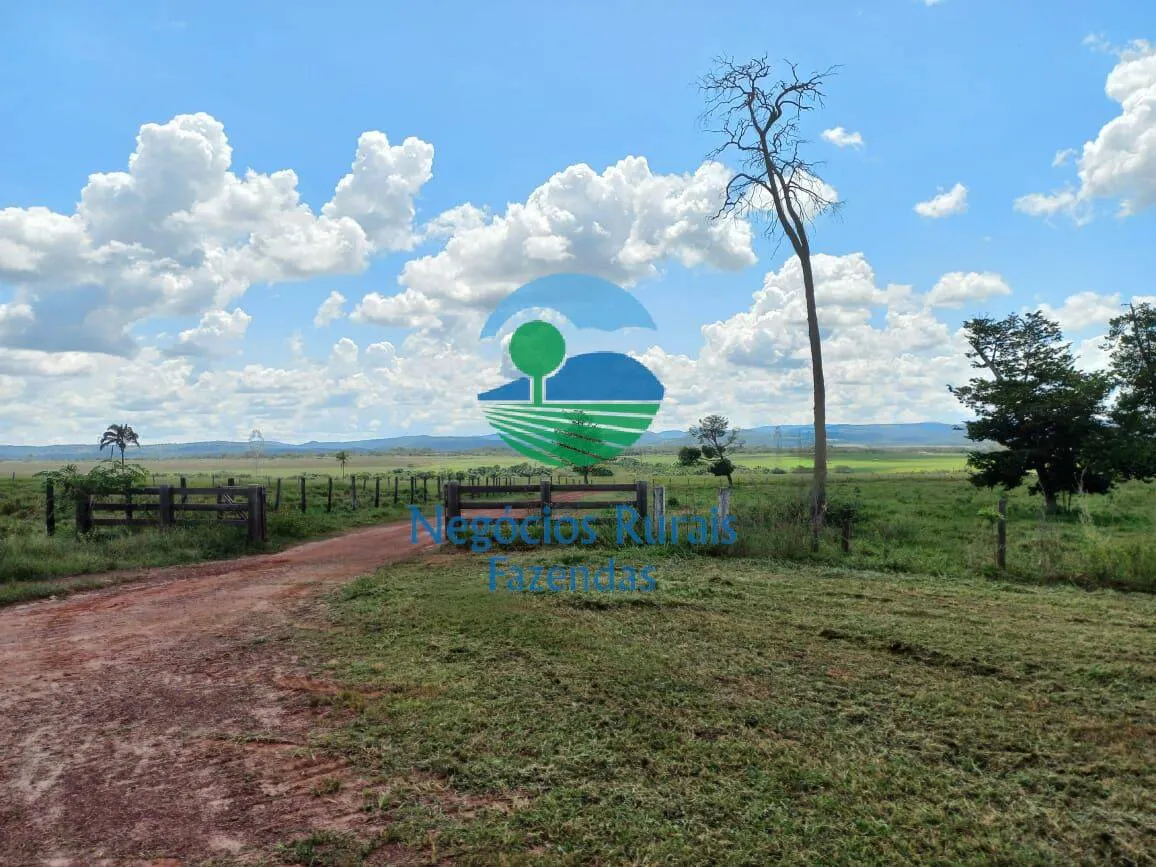Fazenda à venda de 3.547 ha em Presidente Kennedy, TO, Brasil
