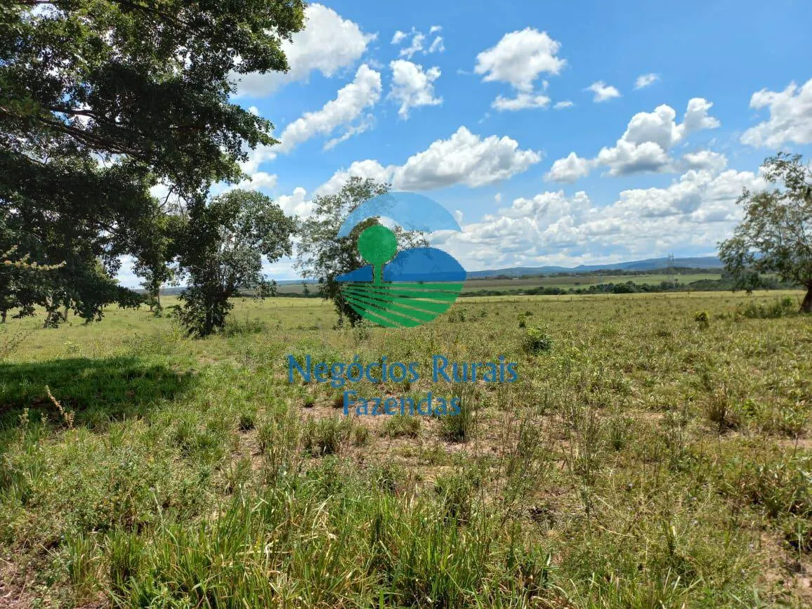 Fazenda à venda de 3.547 ha em Presidente Kennedy, TO, Brasil