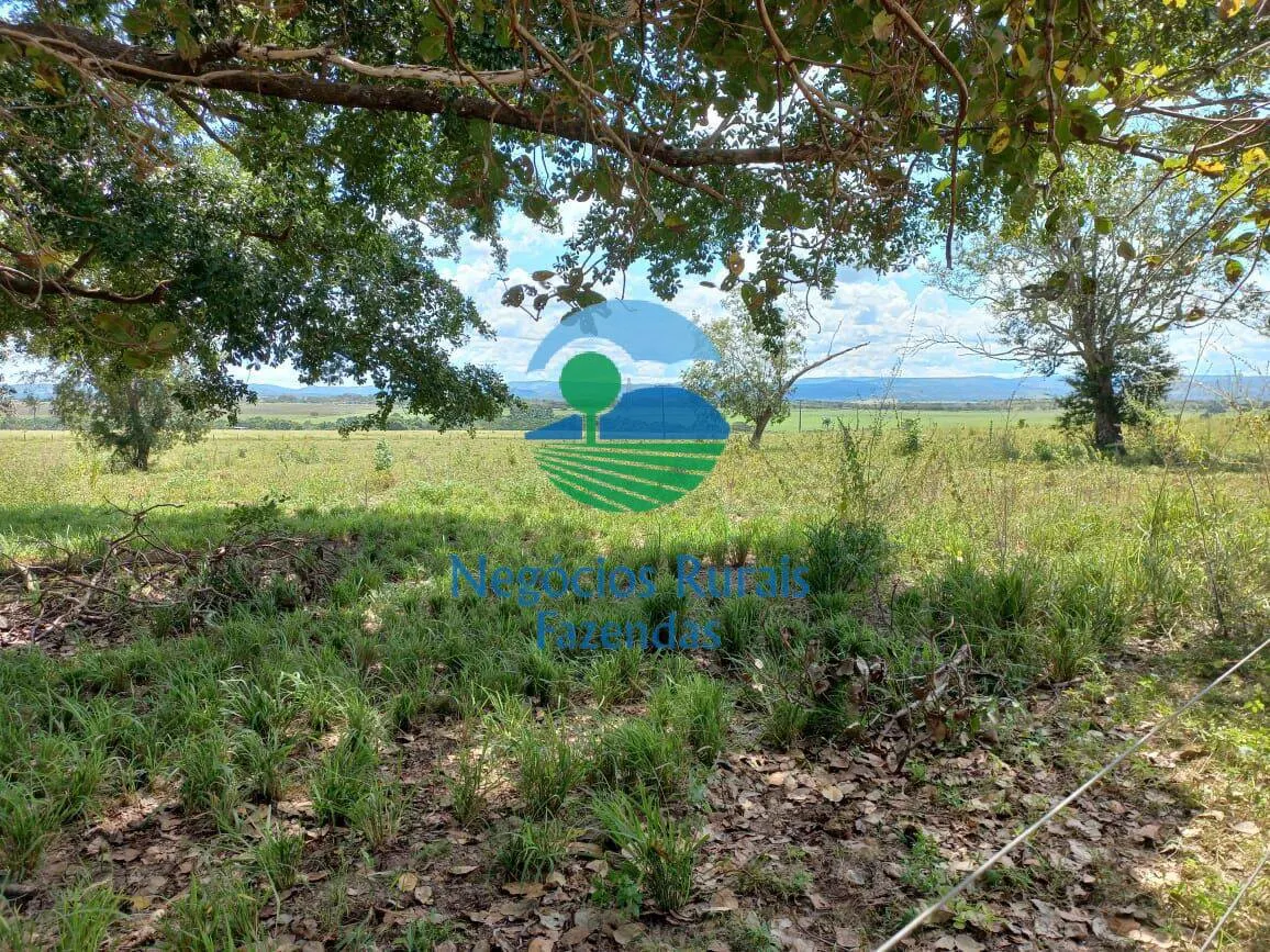Fazenda à venda de 3.547 ha em Presidente Kennedy, TO, Brasil