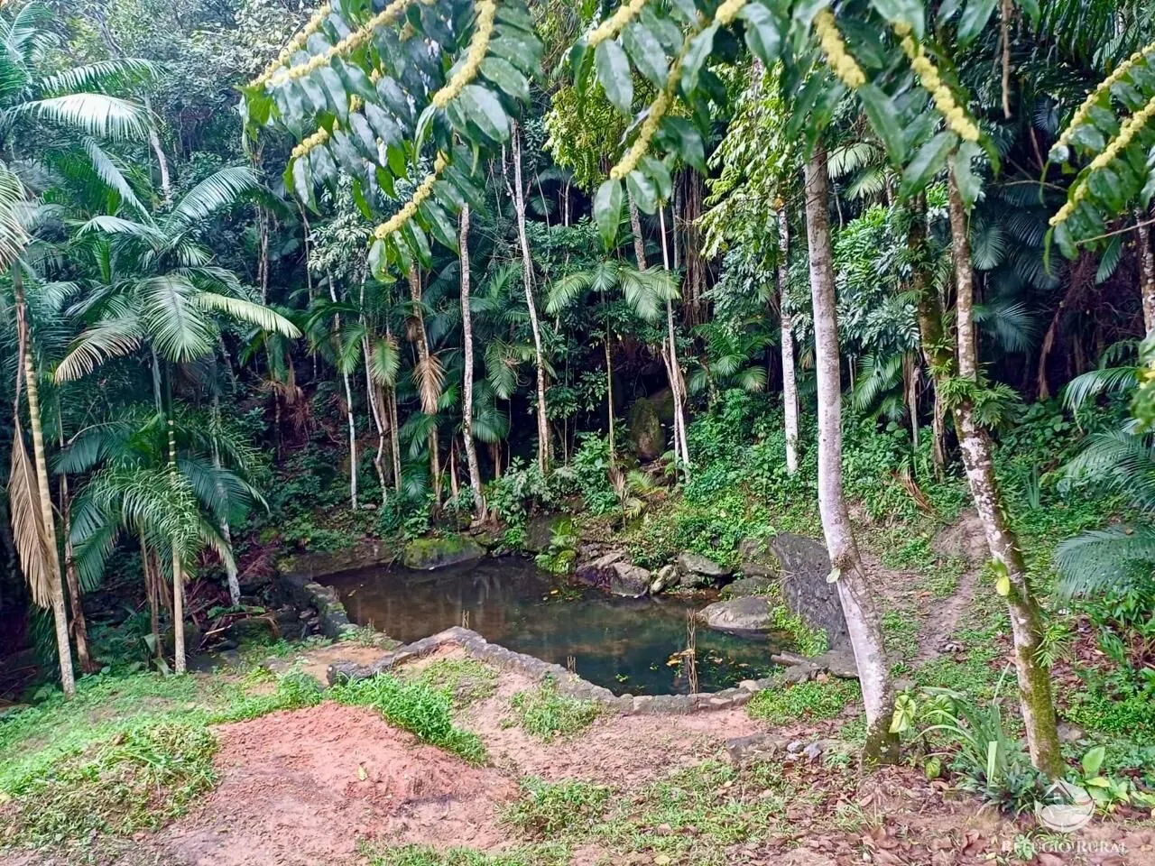 Sítio à venda de 8 ha em São José dos Campos, SP, Brasil