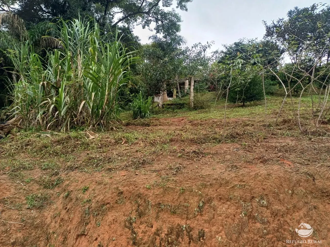 Sítio à venda de 8 ha em São José dos Campos, SP, Brasil