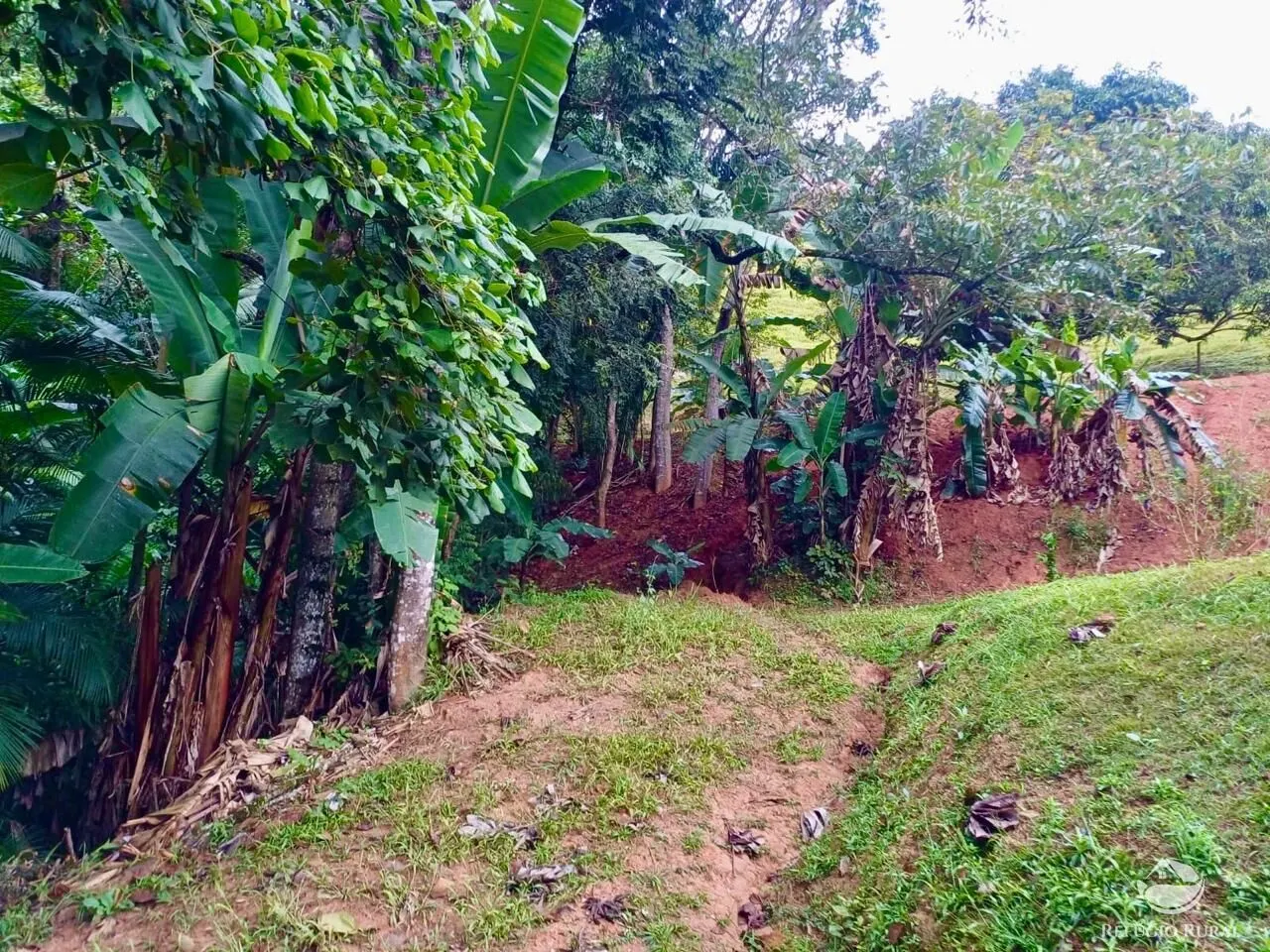 Sítio à venda de 8 ha em São José dos Campos, SP, Brasil