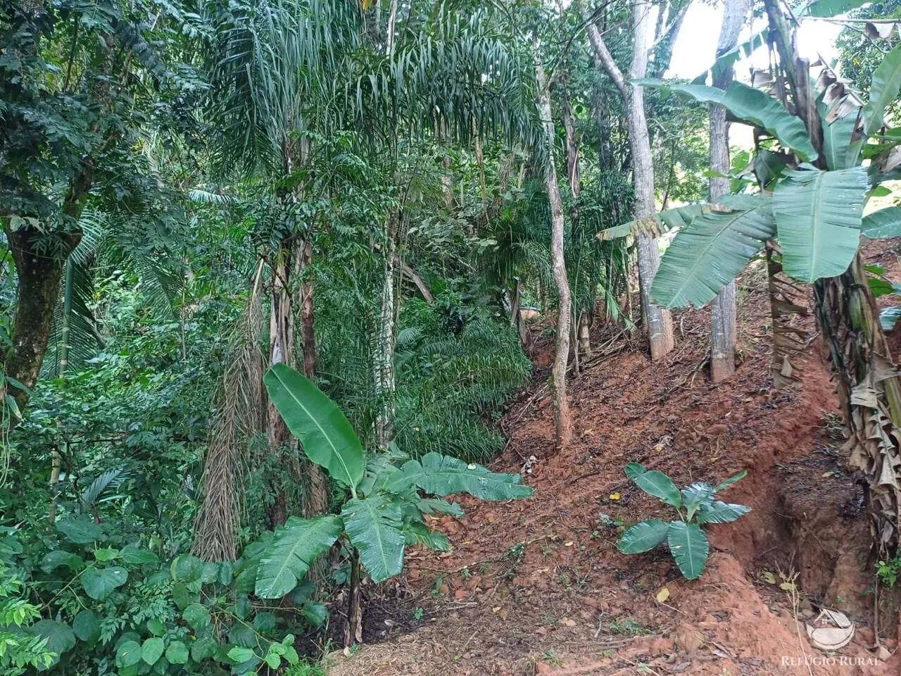 Sítio à venda de 8 ha em São José dos Campos, SP, Brasil