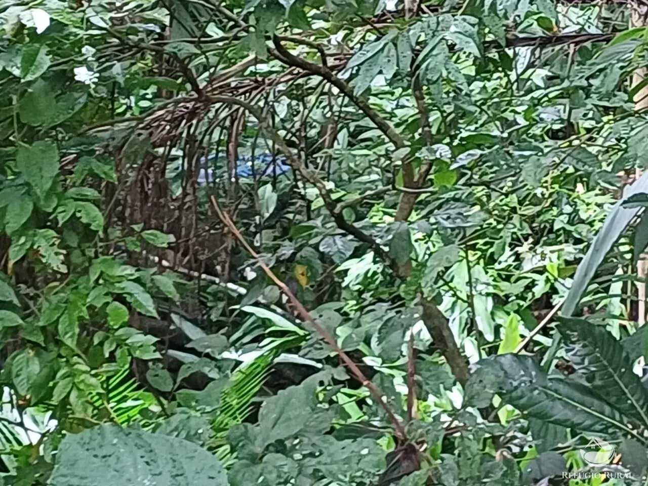 Sítio à venda de 8 ha em São José dos Campos, SP, Brasil