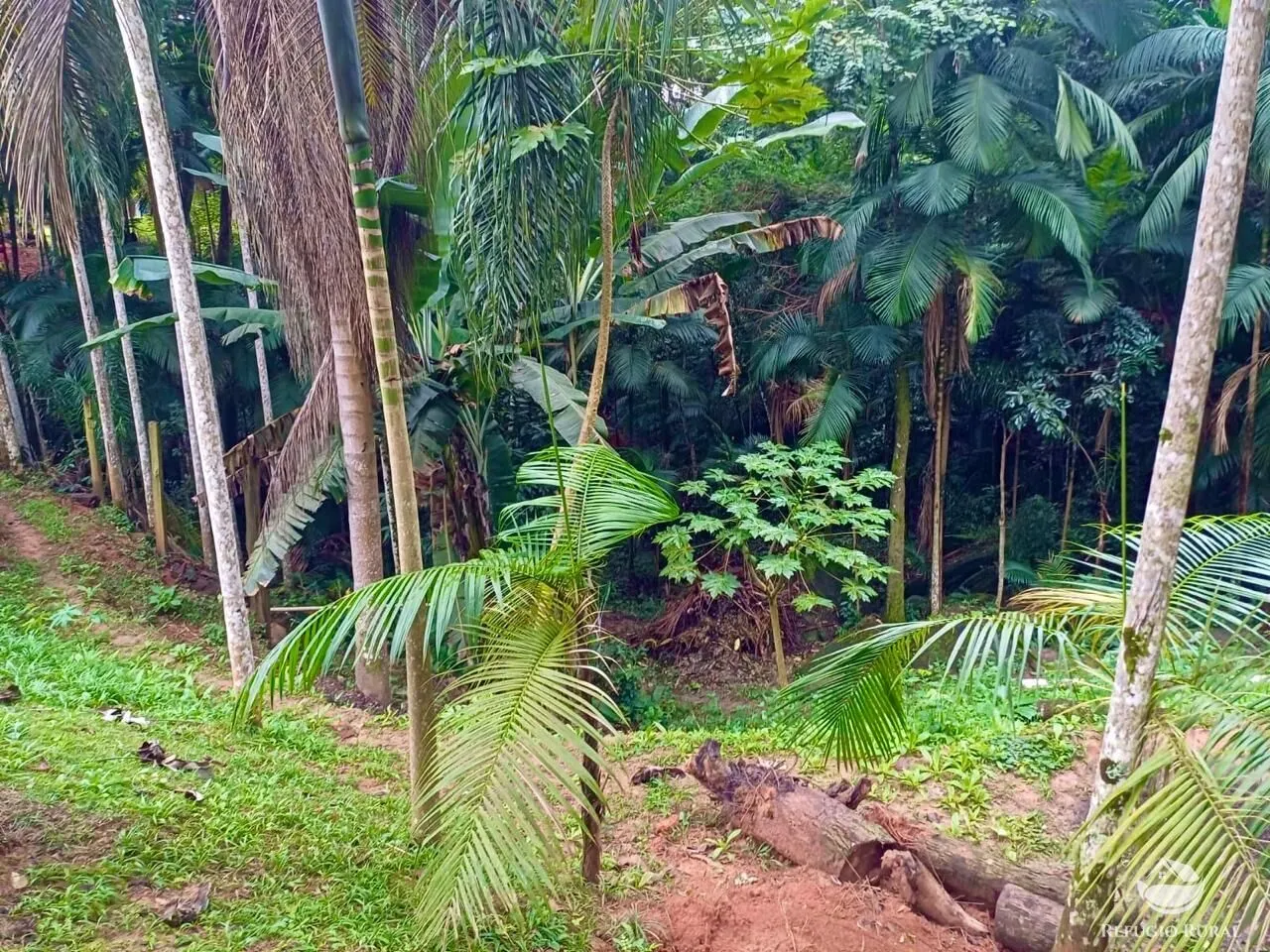 Sítio à venda de 8 ha em São José dos Campos, SP, Brasil