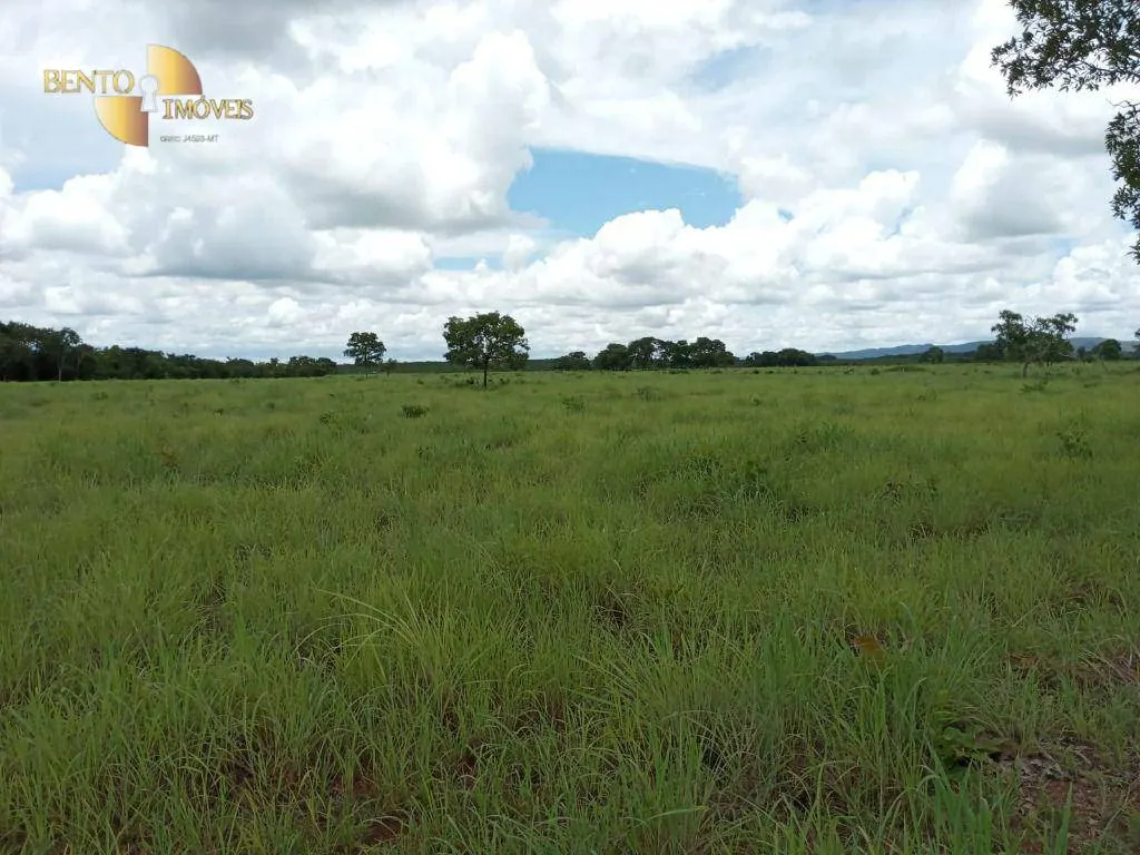 Fazenda à venda de 1.540 ha em Rosário Oeste, MT, Brasil
