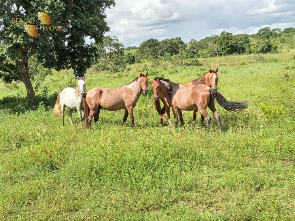 Fazenda à venda de 1.540 ha em Rosário Oeste, MT, Brasil