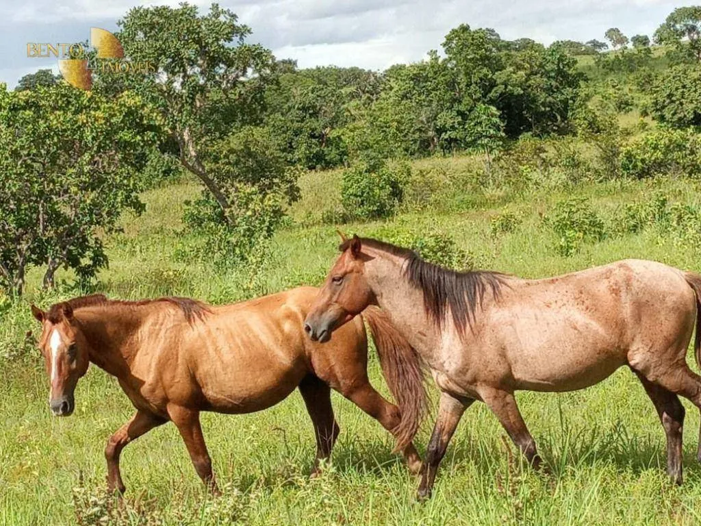 Fazenda à venda de 1.540 ha em Rosário Oeste, MT, Brasil