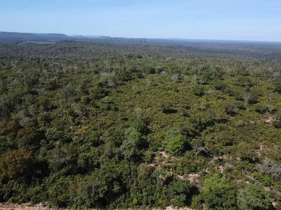 Fazenda à venda de 572 ha em Babaçulândia, TO, Brasil
