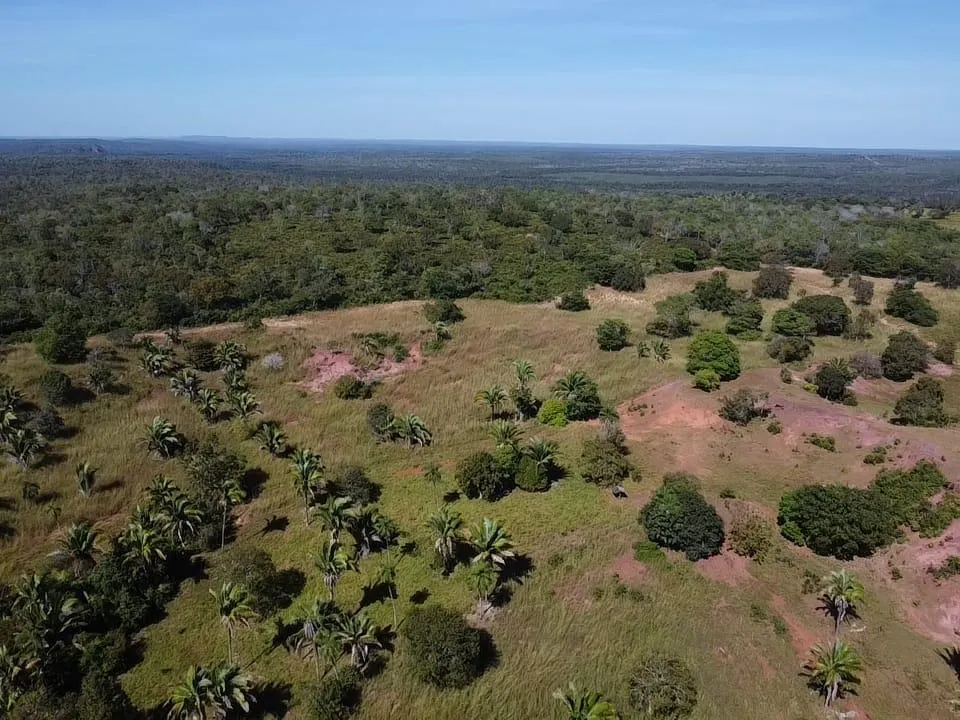 Fazenda à venda de 572 ha em Babaçulândia, TO, Brasil