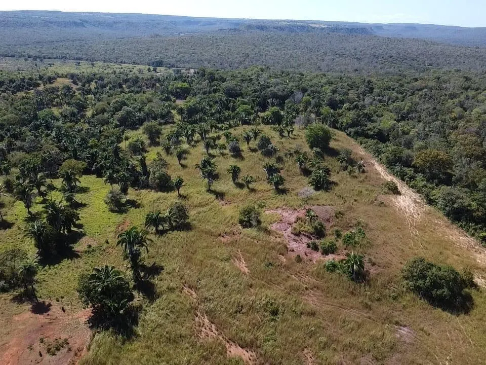 Fazenda à venda de 572 ha em Babaçulândia, TO, Brasil