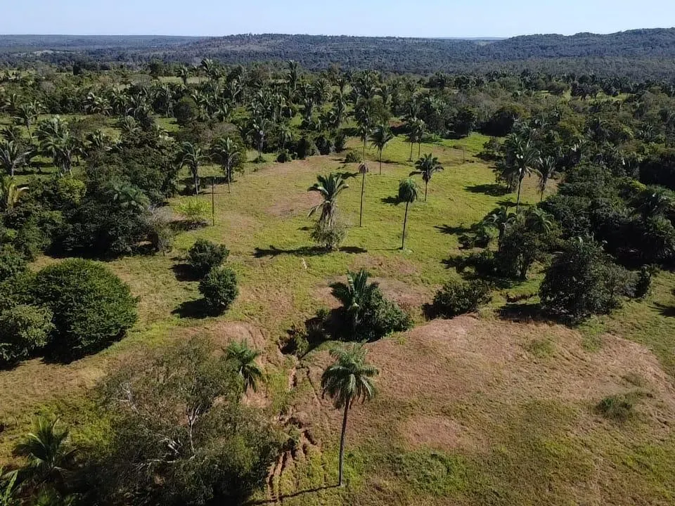 Fazenda à venda de 572 ha em Babaçulândia, TO, Brasil