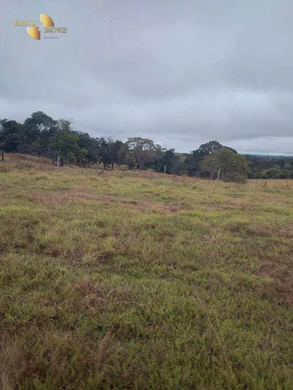 Farm for sale of 4,349 acres in Guiratinga, MT, Brazil