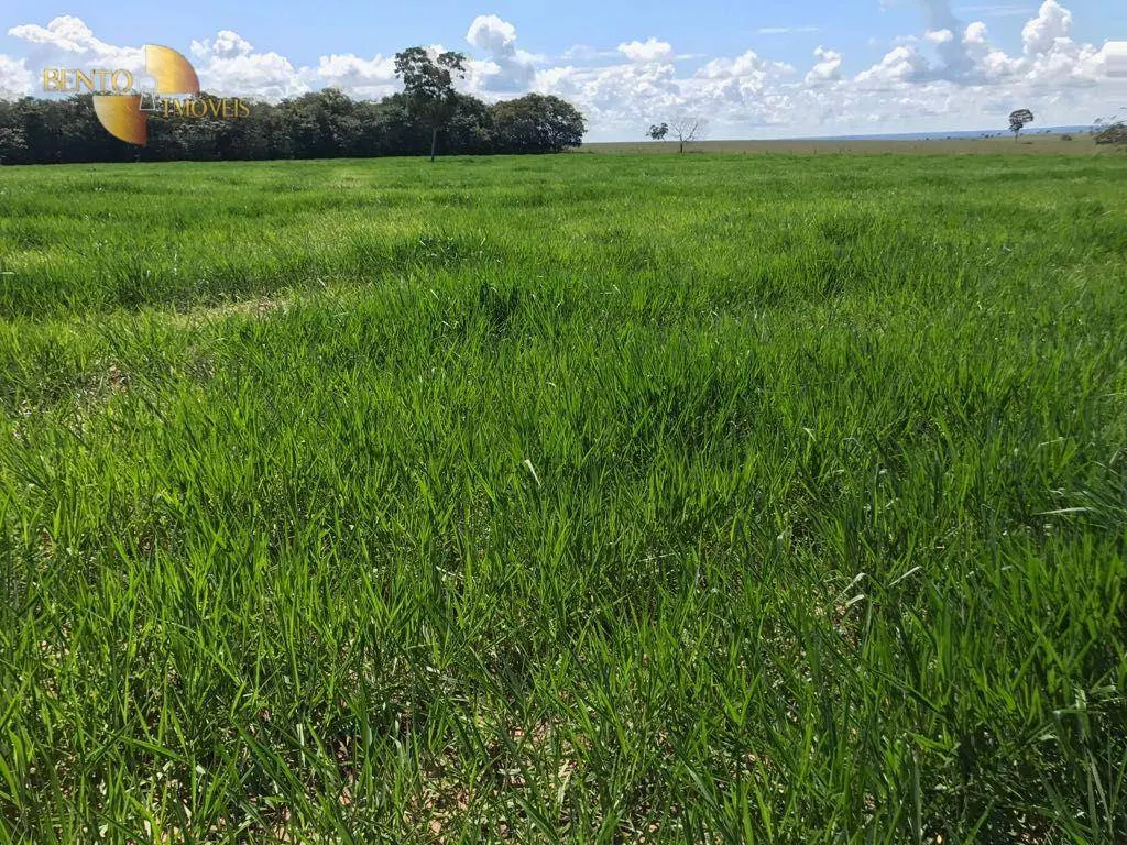 Fazenda à venda de 21.100 ha em Diamantino, MT, Brasil