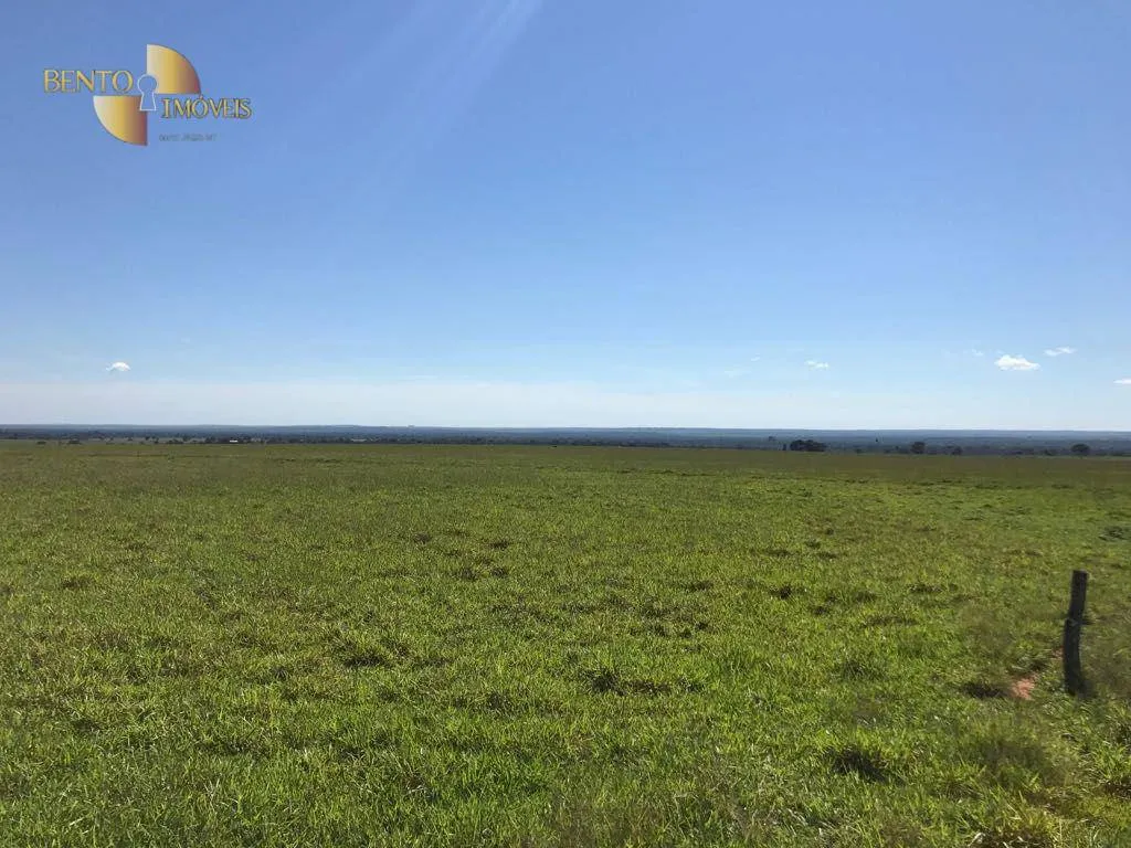 Fazenda à venda de 21.100 ha em Diamantino, MT, Brasil