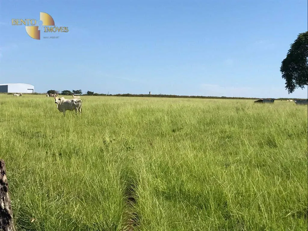 Fazenda à venda de 21.100 ha em Diamantino, MT, Brasil